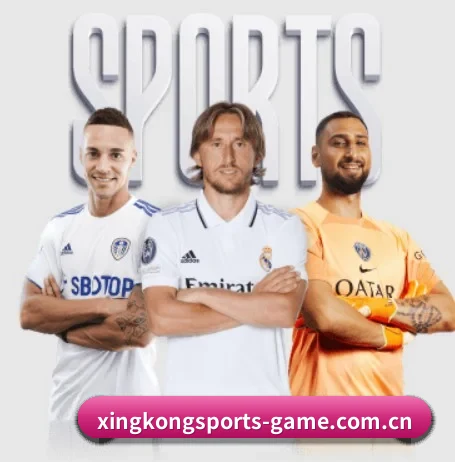 星空体育官方登录 APP(XINGKONGSPORTS)